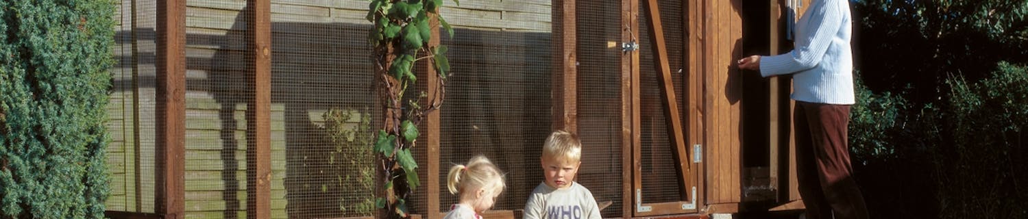 Hønsehus byg selv Byg selv hønsehus